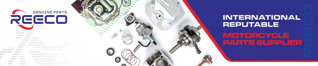 Reeco OE Quality Motorcycle Carburator for Akt Akt125