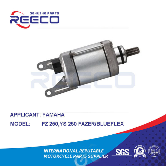 Reeco OE Quality Motorcycle Stator Motor for YAMAHA Fz 250 Ys 250 Fazer Blueflex