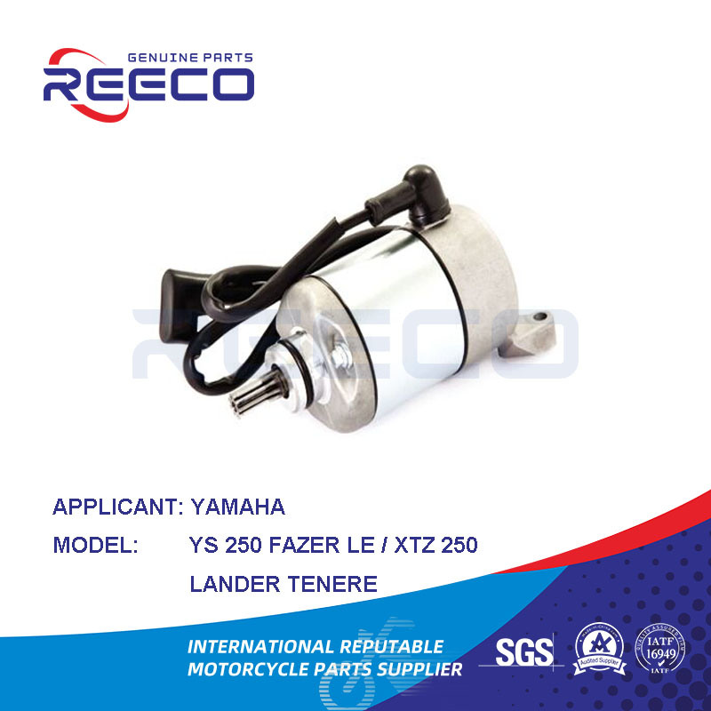 Reeco OE Quality Motorcycle Stator Motor for YAMAHA Ys 250 Fazer Le Xtz 250 Lander Tenere