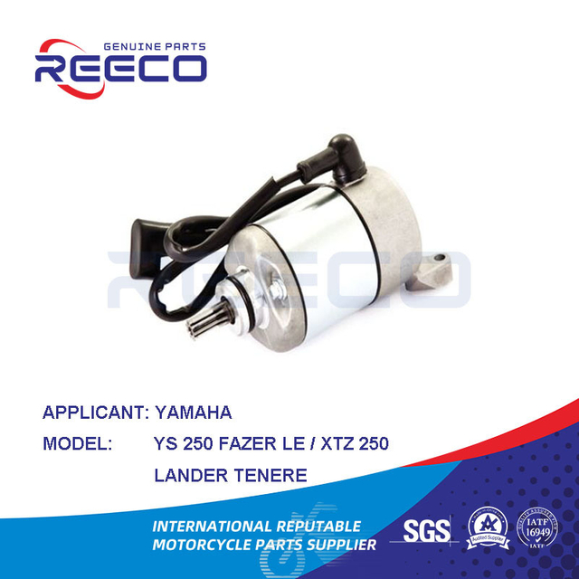 Reeco OE Quality Motorcycle Stator Motor for YAMAHA Ys 250 Fazer Le Xtz 250 Lander Tenere